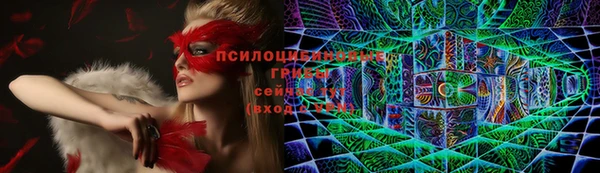 ПСИЛОЦИБИНОВЫЕ ГРИБЫ Верея